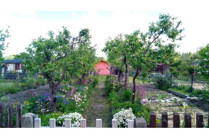 wunderschöner Kleingarten in Mockau-Mitte abzugeben - Leipzig Nordost