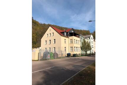 1 Zimmer Wohnung ab sofort zu vermieten - Glashütte