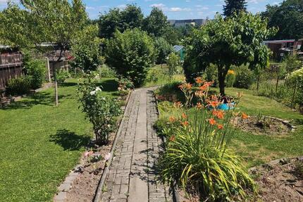 schöner Pachtgarten abzugeben - 2.700,00&nbsp;EUR Kaltmiete, ca.&nbsp; 0,00&nbsp;m&sup2; in Plauen (PLZ: 08525) Bahnhofsvorstadt