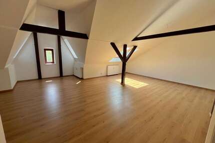 Wohnung zum Mieten in Dresden 729,00 € 52 m²
