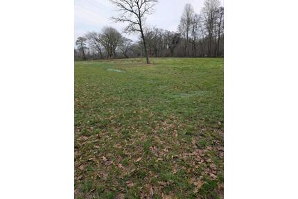 Weideland,Wiese , Pferdeweide - 3,00&nbsp;EUR Kaltmiete, ca.&nbsp; 0,00&nbsp;m&sup2; in Schwanewede (PLZ: 28790)