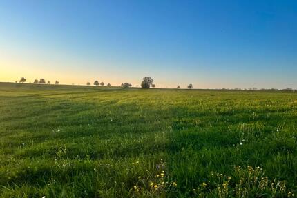 Ruhiges Uni-Nahes Zimmer in 2er WG - Tübingen Schönblick / Winkelwiese