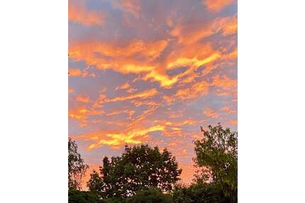 Haus zum Kaufen in Freigericht 279.000,00 € 119 m²