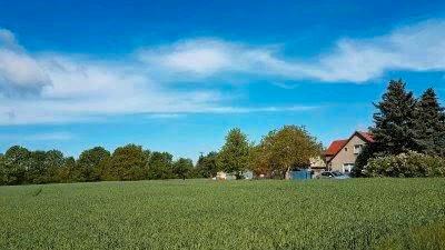 Bauernhof,Scheune,12ha Acker,Wiese,Wald 2x Baugrund a 1000qm - Plessa