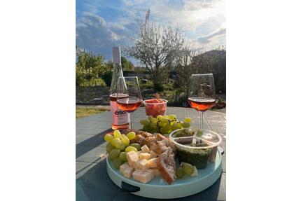 Sonniger Kleingarten ab Mai frei - Rostock