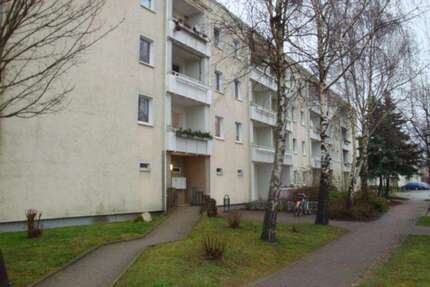 Wohnung zum Mieten in Velgast 363,00 € 60.5 m²