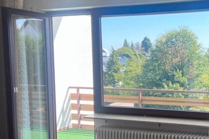 1,5 helle Zimmer Wohnung mit Balkon und Stellplatz - Bad Bergzabern