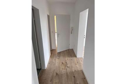 Neu renovierte 3 Zimmer Wohnung mit Balkon im gut gelegenen Großostheim