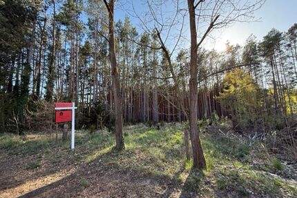PROVISIONSFREI! Ruhig gelegenes Baugrundstück am Waldrand – fußläufig zum Bahnhofnahe Wolziger - Kummersdorf