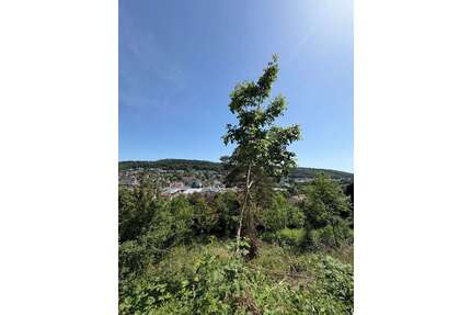 Grundstück zu verkaufen in Mosbach 300.000,00 € 756 m²