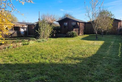 Pachtgarten im Weimar abzugeben