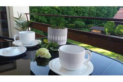 2-Fam.Haus-Lage Seewald Naturschutzgebiet-Sonn.terrasse-Prov-frei - Friedrichshafen