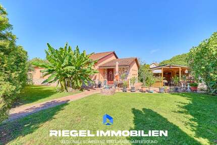 Haus zum Kaufen in Ludwigshafen am Rhein Mundenheim 425.000,00 € 121.77 m² - Ludwigshafen am Rhein / Mundenheim