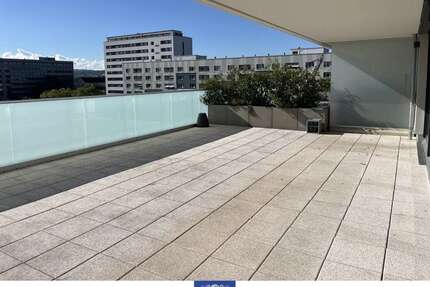 Wohnung zum Mieten in Dresden 2.260,00 € 165.89 m²