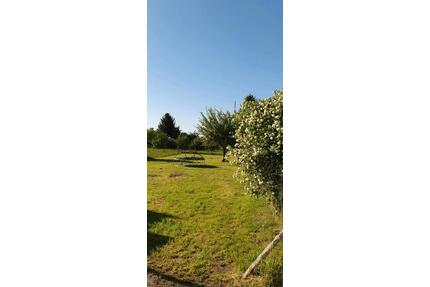 Garten zu Verpachten Vermietung Gartenland - Treuenbrietzen