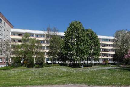 Wohnung zum Mieten in Halle (Saale) 339,12 € 56.52 m²