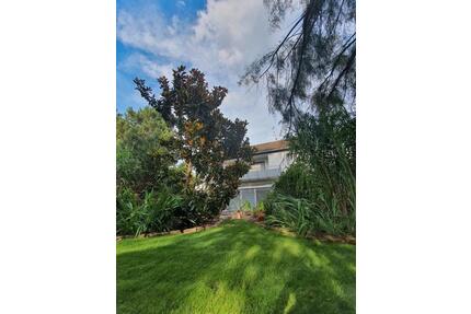 Provisionsfrei‼️| 340qm EFH mit Einliegerwohnung - Rheinzabern