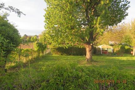 Vermietung schöner Obstgarten mit herrlicher Lage - Heilbronn Kernstadt