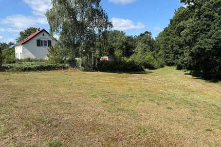 Grundstück zu verkaufen in Marienwerder 99.500,00 € 1871 m²