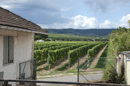 Abrissimmobilie mit Weinbergsblick - Herxheim am Berg