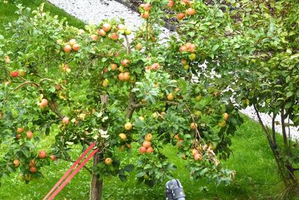 Wohnung zentral gelegen mit großem Balkon und Stellplatz - Netphen