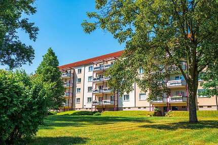 Wohnung zum Mieten in Zwickau 476,00 € 61 m²