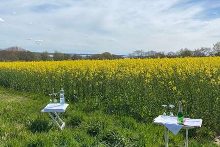 Grundstück zu verkaufen in Schleswig 179.000,00 € 1202 m²