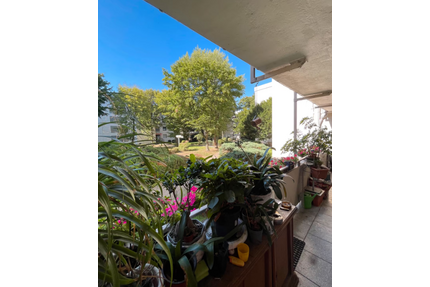 Wohnung zum Kaufen in Bergheim 115.000,00 € 96 m²