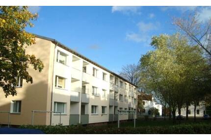 Perfekt für eine kleine Familie! Sanierte 3 Zimmer-Wohnung mit Balkon zu vermieten - Bielefeld Stieghorst