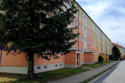 schöne 3-Raumwohnung ab 01.02.2026 zu vermieten - Neukirch/Lausitz