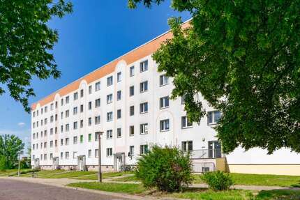 Wohnung zum Mieten in Wolmirstedt 183,00 € 26.15 m²