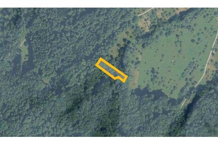 AUKTION: Waldfläche - 500,00&nbsp;EUR Kaltmiete, ca.&nbsp; 0,00&nbsp;m&sup2; in Mössingen (PLZ: 72116)