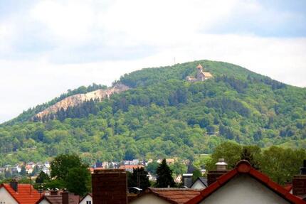 1 Zimmer Küche Bad Stellplatz Keller Balkon Burgblick Weststadt - Weinheim