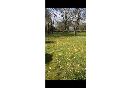 Freizeit Grundstück - 199,00&nbsp;EUR Kaltmiete, ca.&nbsp; 0,00&nbsp;m&sup2; in Schlangenbad (PLZ: 65388)