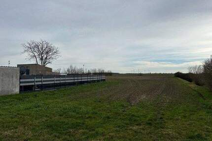 +++ Großes Baugrundstück in Nempitz - Bauträgerfrei +++ - Bad Dürrenberg