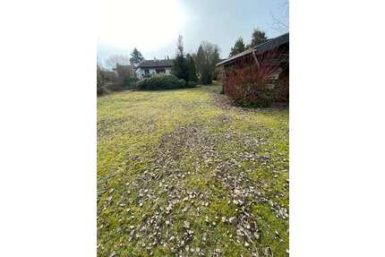 Grundstück zu verkaufen in Westergellersen 150.000,00 € 800 m²