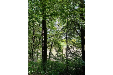 • Liebhaberobjekt im Naturpark Fränkische Schweiz - Gräfenberg