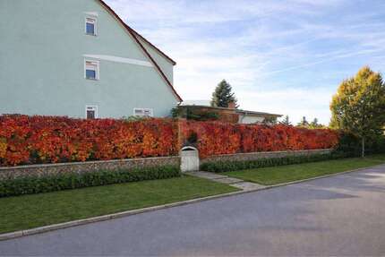 Haus zum Kaufen in Templin 249.000,00 € 146 m²