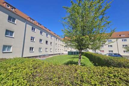 Wohnung zum Mieten in Altenburg 375,00 € 64.62 m²