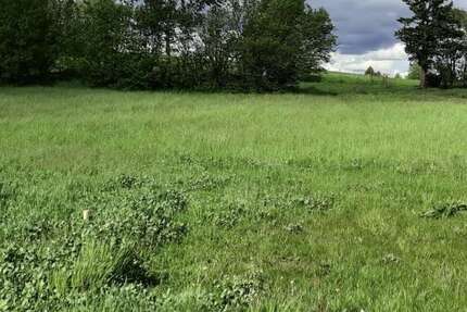 Haus zum Kaufen in Klipphausen 499.900,00 € 112 m²