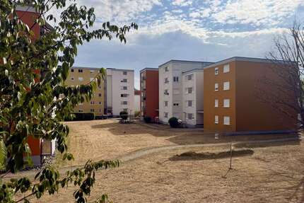 Wohnung zum Kaufen in Weingarten 269.000,00 € 76 m²