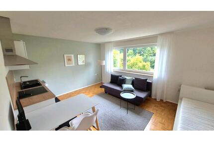 1-Zimmer-Appartment in Ellwangen - nur für Wochenendpendler - Ellwangen (Jagst)