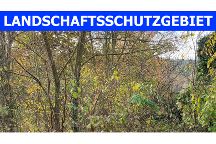 Grundstück zu verkaufen in Fürth 198.000,00 € 3099 m²