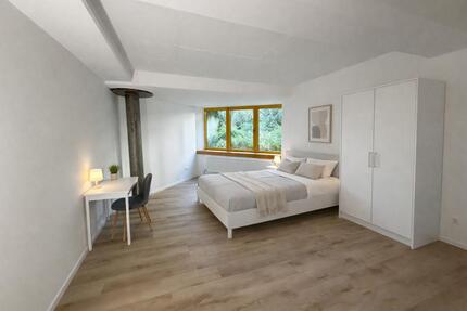 Möbliertes 1-Zimmer-Apartment in guter Lage - Mannheim Almenhof