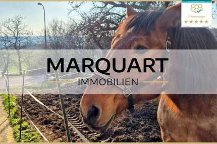 Haus zum Kaufen in Schlüchtern 379.000,00 € 284 m²