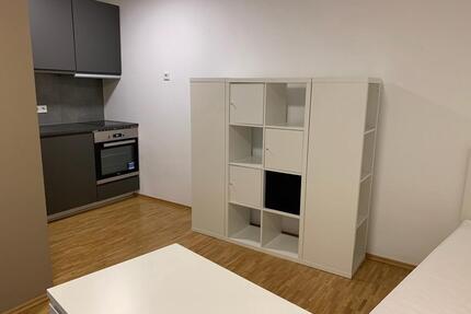Zentral gelegenes 1-Zimmer-Apartment, komplett möbliert - Würzburg