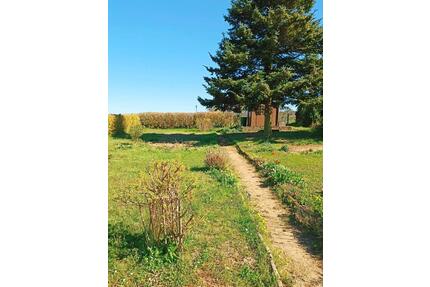 Kleingarten in Kleingartenanlage zu verpachten - Cunewalde