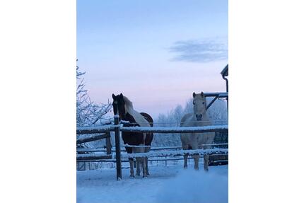 Haus mit Pferdehaltung - 385.000,00&nbsp;EUR Kaufpreis, ca.&nbsp; 170,00&nbsp;m&sup2; in Lübz (PLZ: 19386)