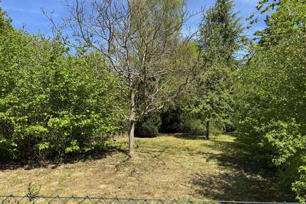 Grundstück zu verkaufen in Wiesbaden-Sonnenberg 52.000,00 € 801 m²