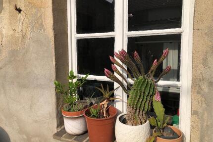 Mietkauf 180qm im Zentrum Zörbig, Haus mit Garten Südlage - Halle (Saale)